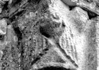 files/capitals/SANTEU-P/thumbs/SANTEU-P 046.jpg